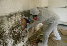 Cách chống nấm mốc cho nhà bị ngập nước Cách chống nấm mốc cho nhà bị ngập nước lamsao.com