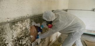 Cách chống nấm mốc cho nhà bị ngập nước lamsao.com