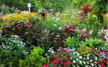 Những góc nhỏ yên bình trong khu vườn mùa hè - 1