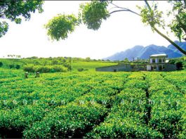 Hướng dẫn 7 địa điểm du lịch thú vị trong ngày nắng nóng - 1