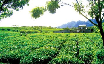 Hướng dẫn 7 địa điểm du lịch thú vị trong ngày nắng nóng - 1