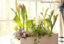 Những món đồ tiện ích bất ngờ làm từ ngăn kéo và hộp gỗ cũ Những món đồ tiện ích bất ngờ làm từ ngăn kéo và hộp gỗ cũ 1