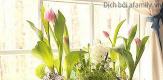 Những món đồ tiện ích bất ngờ làm từ ngăn kéo và hộp gỗ cũ 1