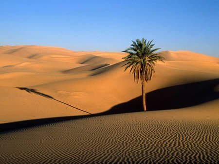 Những sa mạc đẹp như thiên đường - 6
