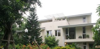 Cách chống nóng quanh nhà - 1