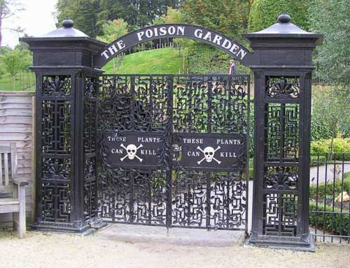 Ngắm khu vườn độc dược ở Anh