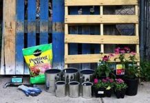 Cách làm khu vườn treo mini dành cho nhà có sân nhỏ Khu vườn treo mini dành cho nhà có sân nhỏ - Archi