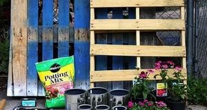 Cách làm khu vườn treo mini dành cho nhà có sân nhỏ Khu vườn treo mini dành cho nhà có sân nhỏ - Archi