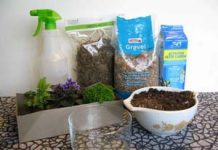 Hướng dẫn tạo điểm nhấn màu xanh nho nhỏ trong nhà - 1