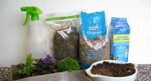 Hướng dẫn tạo điểm nhấn màu xanh nho nhỏ trong nhà Hướng dẫn tạo điểm nhấn màu xanh nho nhỏ trong nhà - 1