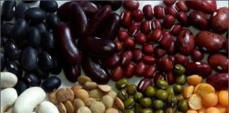 Bí quyết chế biến đậu - 1