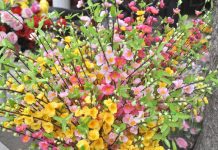 4 vật giả tuyệt đối không đặt lên bàn thờ tránh tai họa vào nhà 1