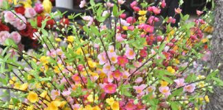 4 vật giả tuyệt đối không đặt lên bàn thờ tránh tai họa vào nhà 1