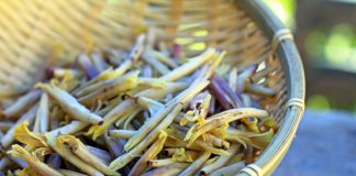 cách kho cá cơm chay ngon nhất cho Rằm tháng Giêng