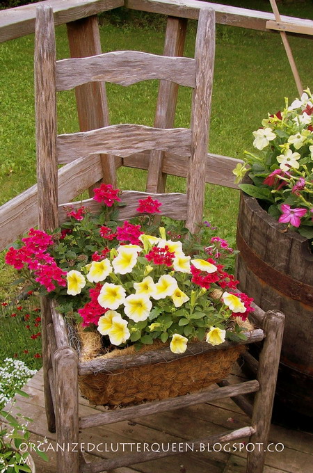 Biến ghế cũ thành bồn hoa rực rỡ | ảnh 23