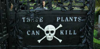 Ngắm khu vườn độc dược ở Anh