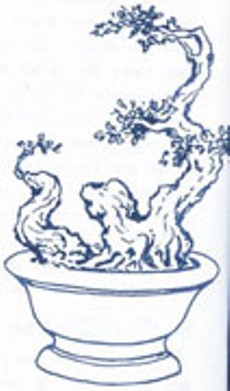 Chia sẻ một số thế bonsai đẹp từ nghệ thuật bonsai cổ Việt Nam 5