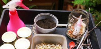 lam-binh-cay-mini-to-diem-ban-lam-viec-them-xinh-1