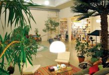 Bài trí hoa khô trong phòng ngủ Bài trí hoa khô trong phòng ngủ - 1