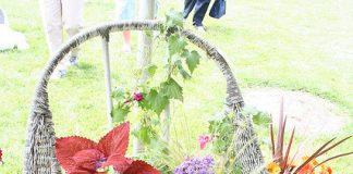 5 ý tưởng “hô biến” ghế cũ thành… khu vườn mini 5 ý tưởng