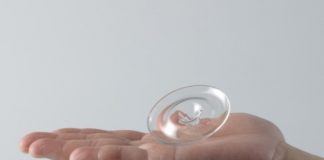 Nhà đẹp đón Tết với những mẫu lọ hoa độc đáo 1