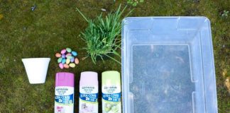 tu-che-chau-cay-ti-hon-tu-coc-giay-lamsao.com-1