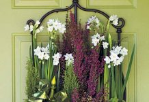 Bí quyết trang trí nhà cửa dịp Noel