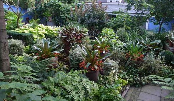10 bước tạo khu vườn nhiệt đới trong nhà biệt thự - 4