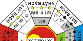 Bài trí phong thủy để thành công năm Quý Tỵ