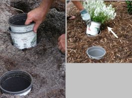 mẹo làm vườn thông minh chẳng ai dạy bạn