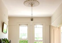 Top cây cảnh đẹp giúp sự nghiệp thăng tiến - 1