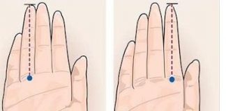 Nhìn vào hình ảnh này và kiểm tra độ dài ngón tay áp út của chàng.