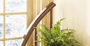 Làm sao để chăm sóc cây cảnh và bày trí trong nhà - 1