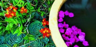 Một vài cách làm vườn nhà bạn thêm nổi bật - 1