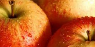 Bí quyết giảm cân trong nháy mắt - 1