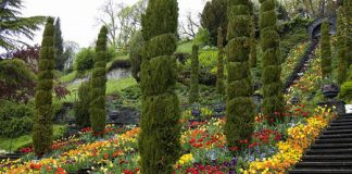 Mainau - Đảo hoa tự nhiên độc nhất vô nhị - 1