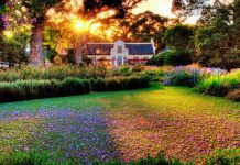 Bí quyết tạo vẻ đẹp ấn tượng cho vườn nhà - 1