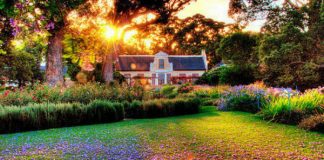 Bí quyết tạo vẻ đẹp ấn tượng cho vườn nhà Bí quyết tạo vẻ đẹp ấn tượng cho vườn nhà - 1