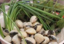 Ngao xào hành răm thơm nức mũi cho bữa trưa ngao-xào-hành-răm-đơn-giản-ngọt-vị-cho-bữa-trưa-1