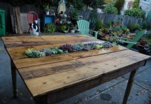 10 ý tưởng trồng cây độc đáo và tiết kiệm - Archi