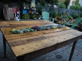 10 ý tưởng trồng cây độc đáo và tiết kiệm - Archi