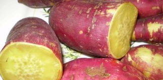 Những món càng ăn nhiều...càng giảm cân - 1