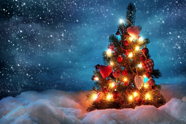 14 phong cách trang trí cây thông Noel cho Giáng sinh 2015 10