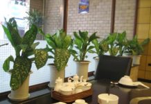 Bài trí đồ đạc để xua tan cái nóng mùa hè - Không Gian Sống - Nội thất đẹp - Phong thủy nhà ở - Trang trí nhà đẹp