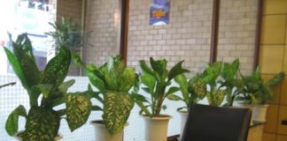 Bài trí đồ đạc để xua tan cái nóng mùa hè - Không Gian Sống - Nội thất đẹp - Phong thủy nhà ở - Trang trí nhà đẹp