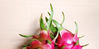 Bài thuốc hay từ thanh long - 1