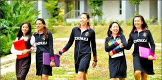 Website cung cấp thông tin ngành Mỹ thuật, Kiến trúc tại Pháp - 1