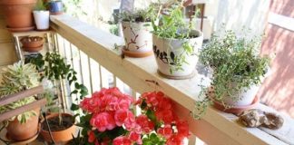 Gợi cho bạn những mẹo trang trí ban công tuyệt đẹp 1