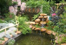 Bài trí tiểu cảnh trong nhà - Archi