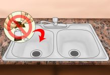 Những thứ tuyệt đối không đổ vào bồn rửa 1